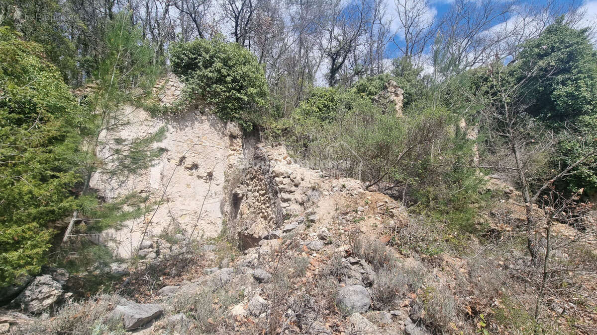 Terrain à CALLIAN