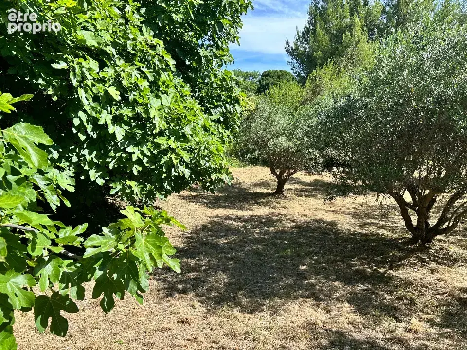 Terrain à SAINT-JEAN-DE-FOS