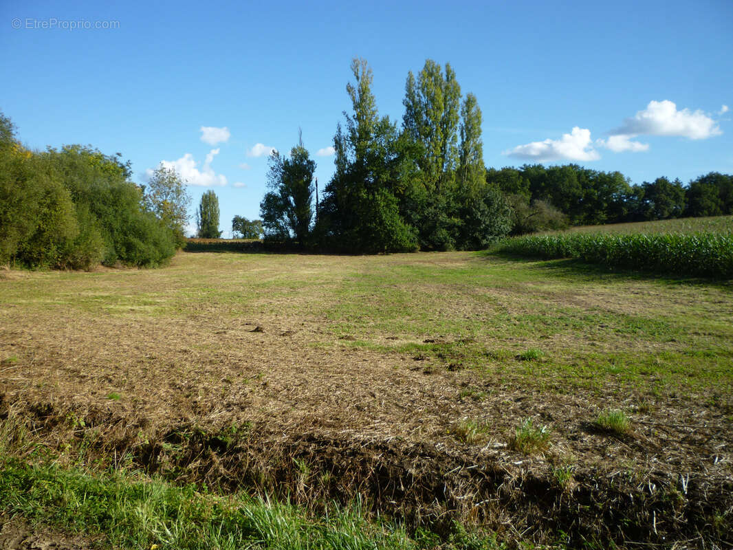 Terrain de loisir - photo 10