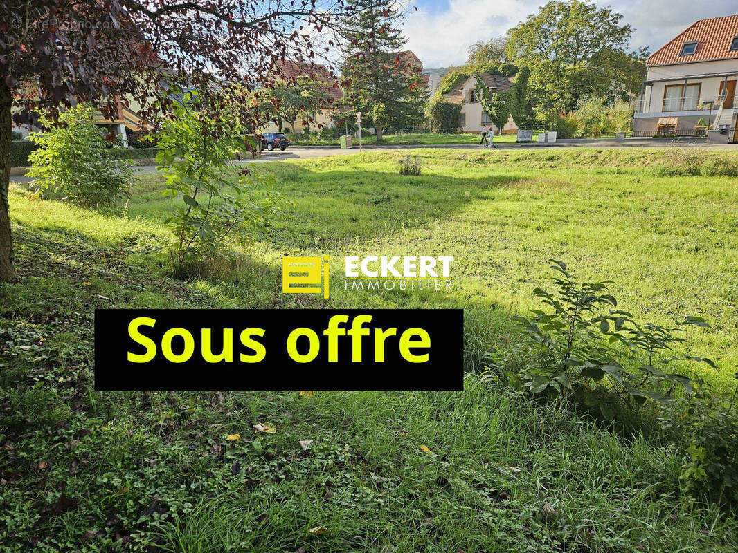 Terrain à MOLSHEIM