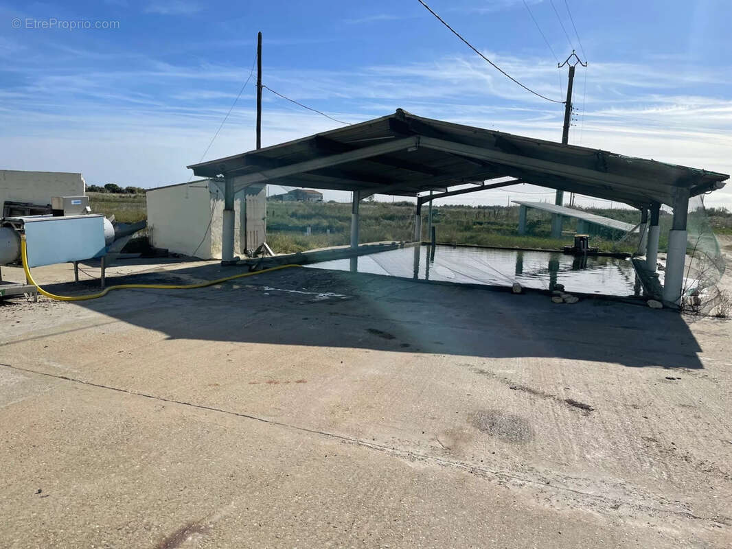 Maison à SAINT-JUST-LUZAC