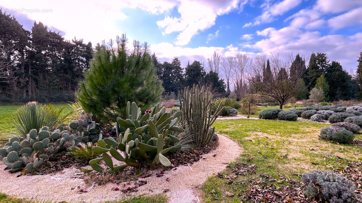 Maison à SAINT-REMY-DE-PROVENCE