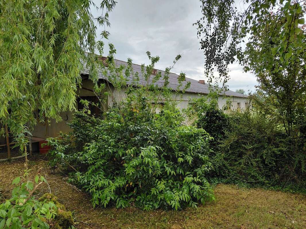 Maison à DURAVEL