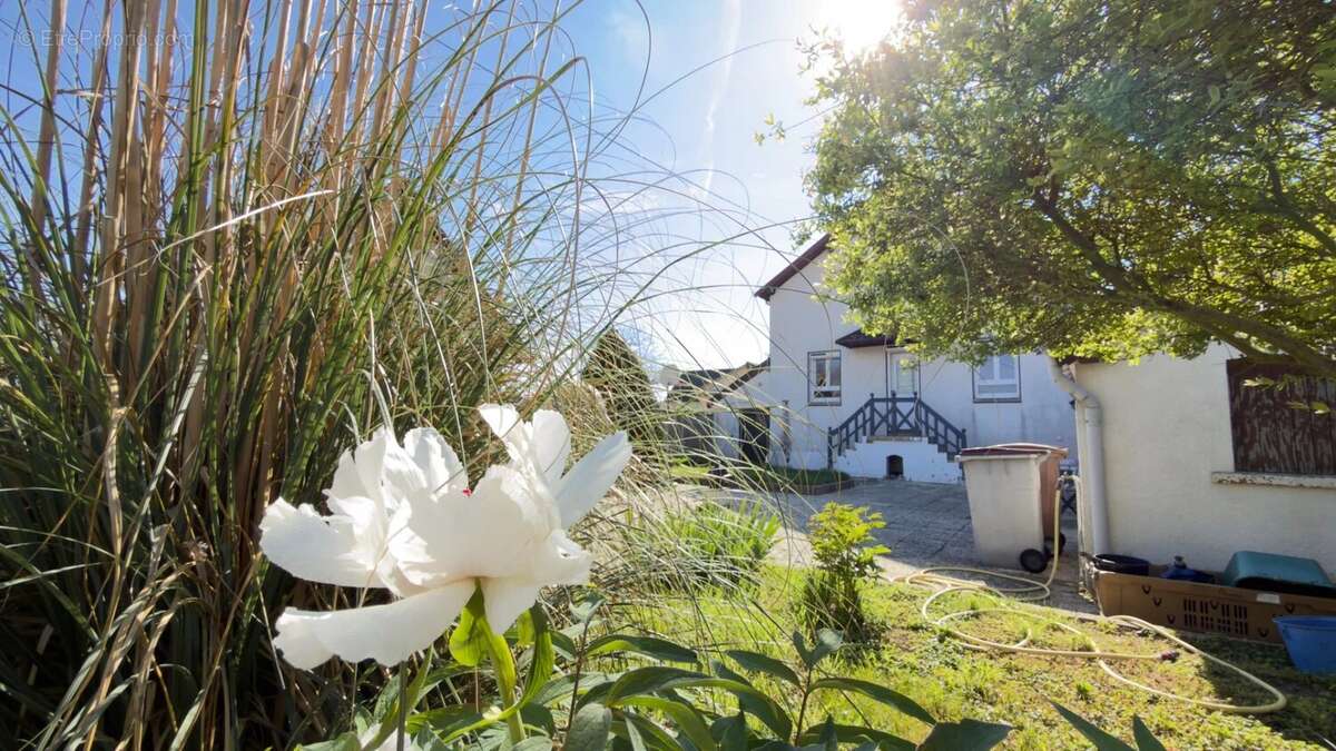 Maison à SAINT-PARRES-AUX-TERTRES
