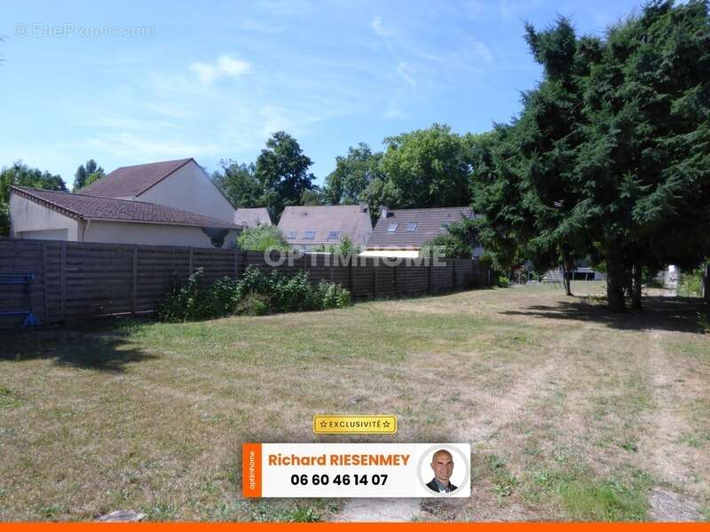 Terrain à OLLAINVILLE