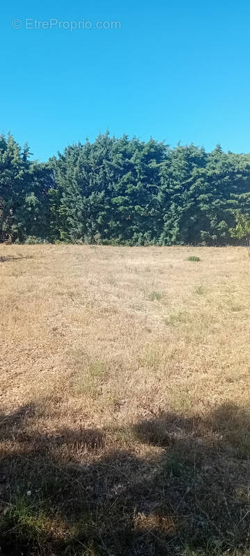 Terrain à PERPIGNAN