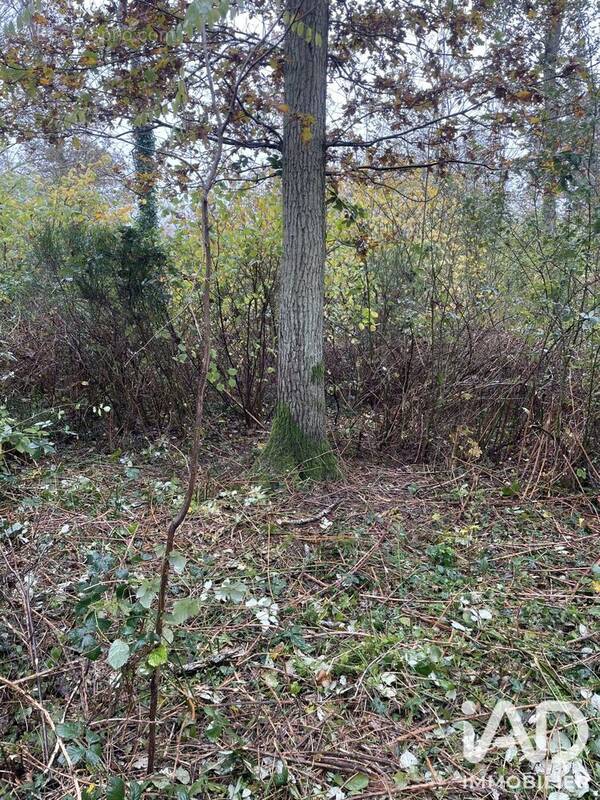 Photo 1 - Terrain à FONTENAY-SUR-LOING