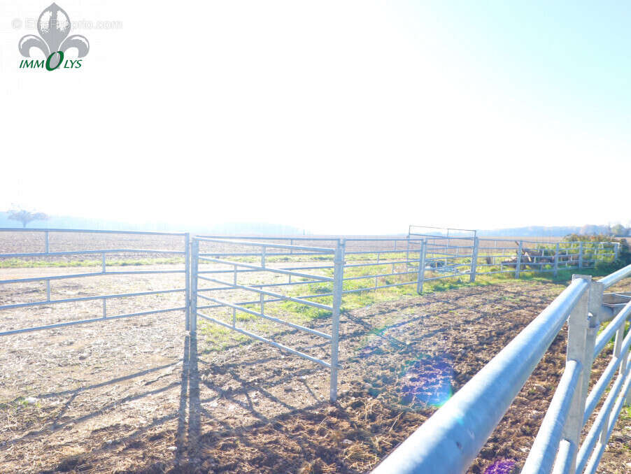 Autre à SAINT-JEAN-DE-LOSNE