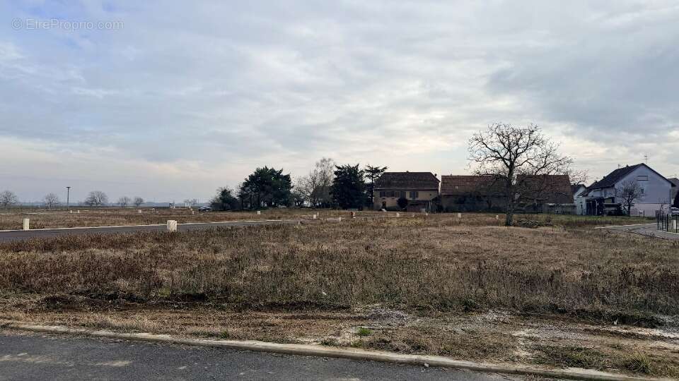 Terrain à BERGHOLTZ