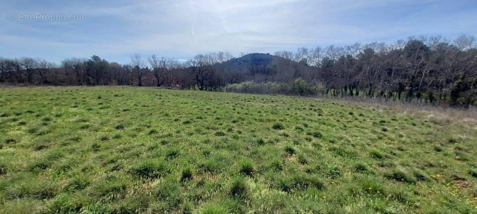 Terrain à FOX-AMPHOUX