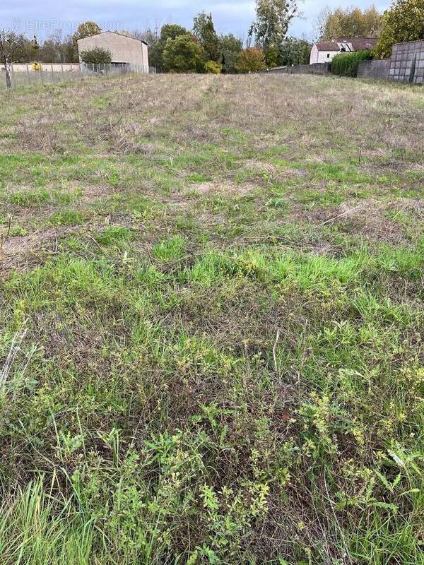 Terrain à ANGOULEME