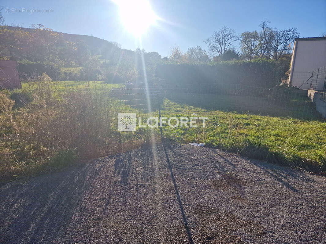 Nuces commune de VALADY - photo 4