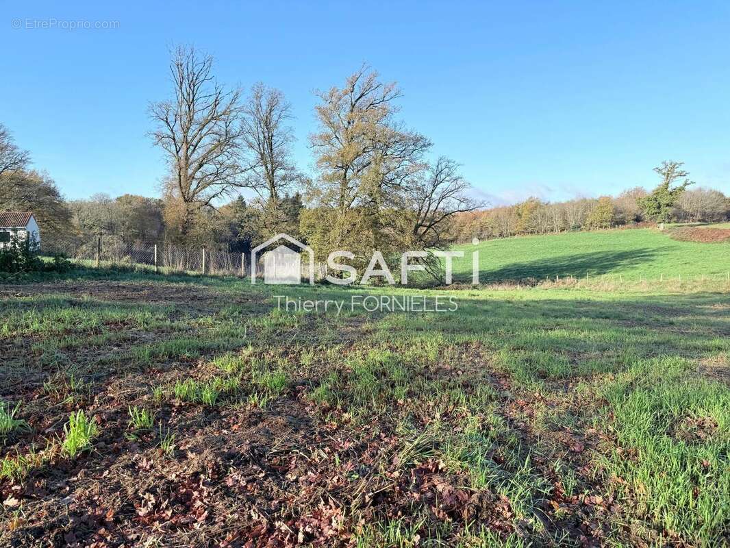 Photo 2 - Terrain à SAINT-JUST-LE-MARTEL