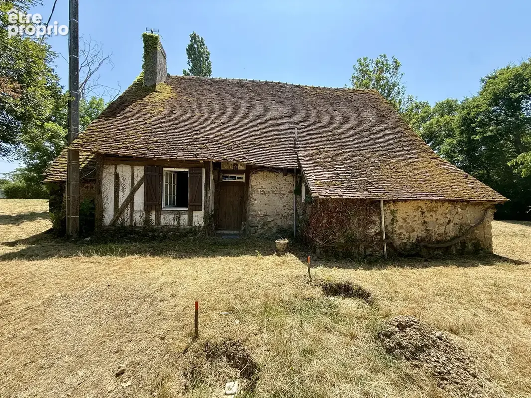 Longère  T5 sur un terrain de 4800 m2+ dépendances - photo 9