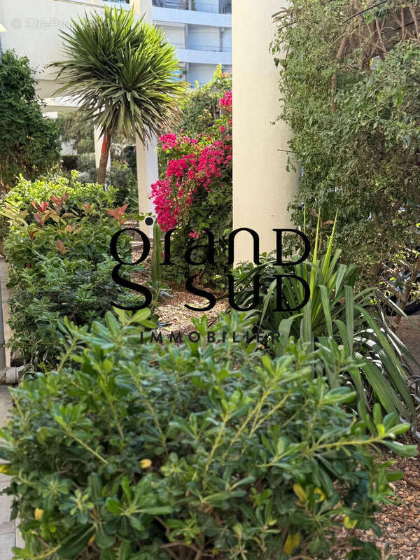 Appartement à LE GRAU-DU-ROI