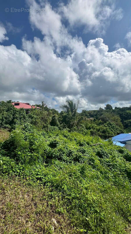 Terrain à LE GOSIER