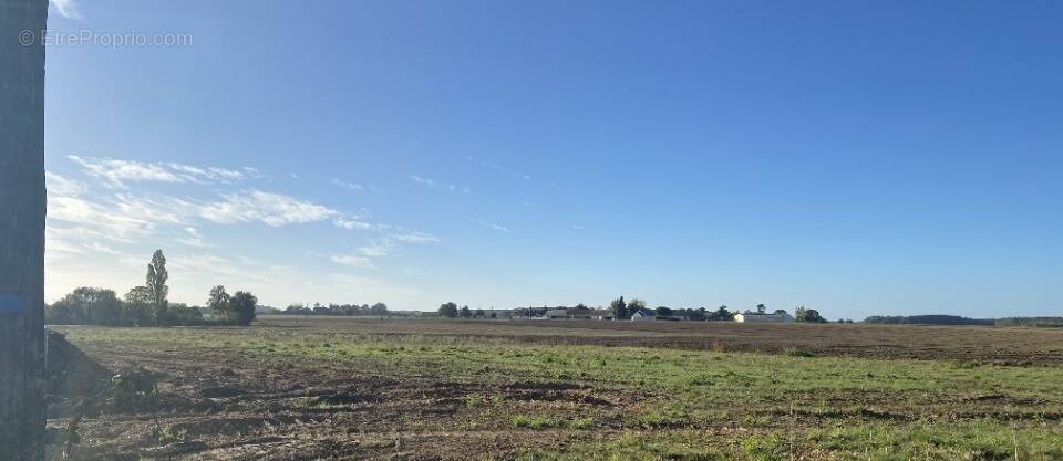 Terrain à SAINT-LAURENT-EN-GATINES