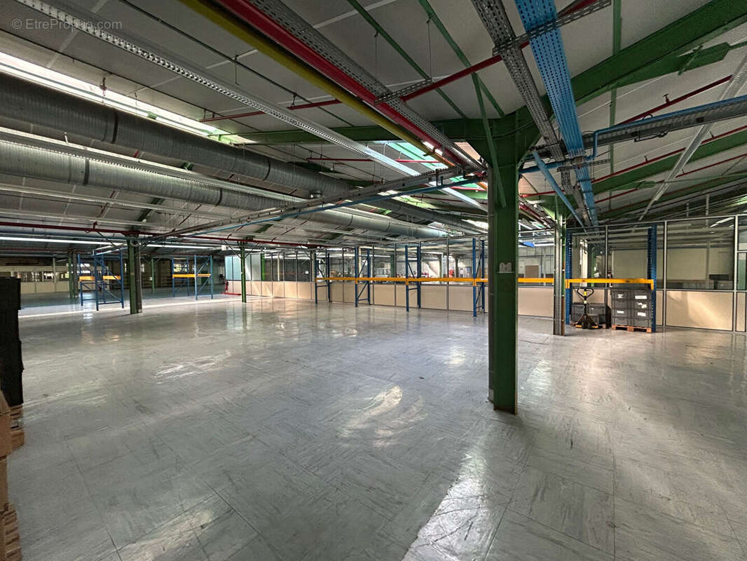 Commerce à DOUARNENEZ