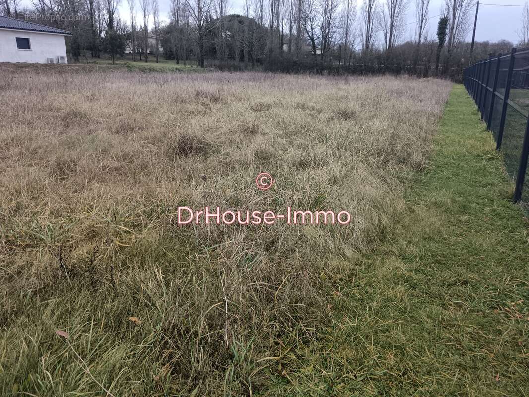 Terrain à MIRAMONT-DE-GUYENNE