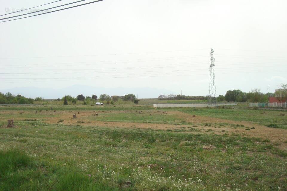 Terrain à PERPIGNAN