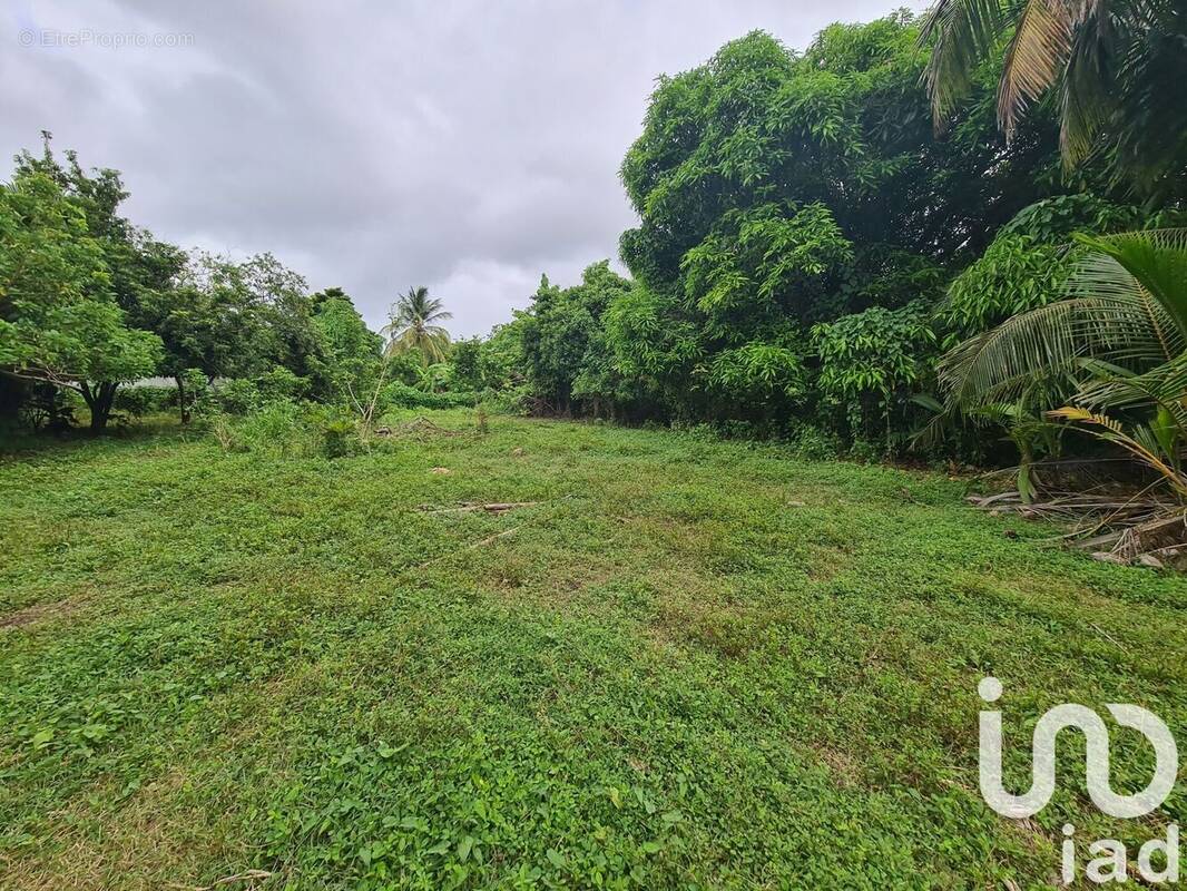 Photo 1 - Terrain à LE MOULE