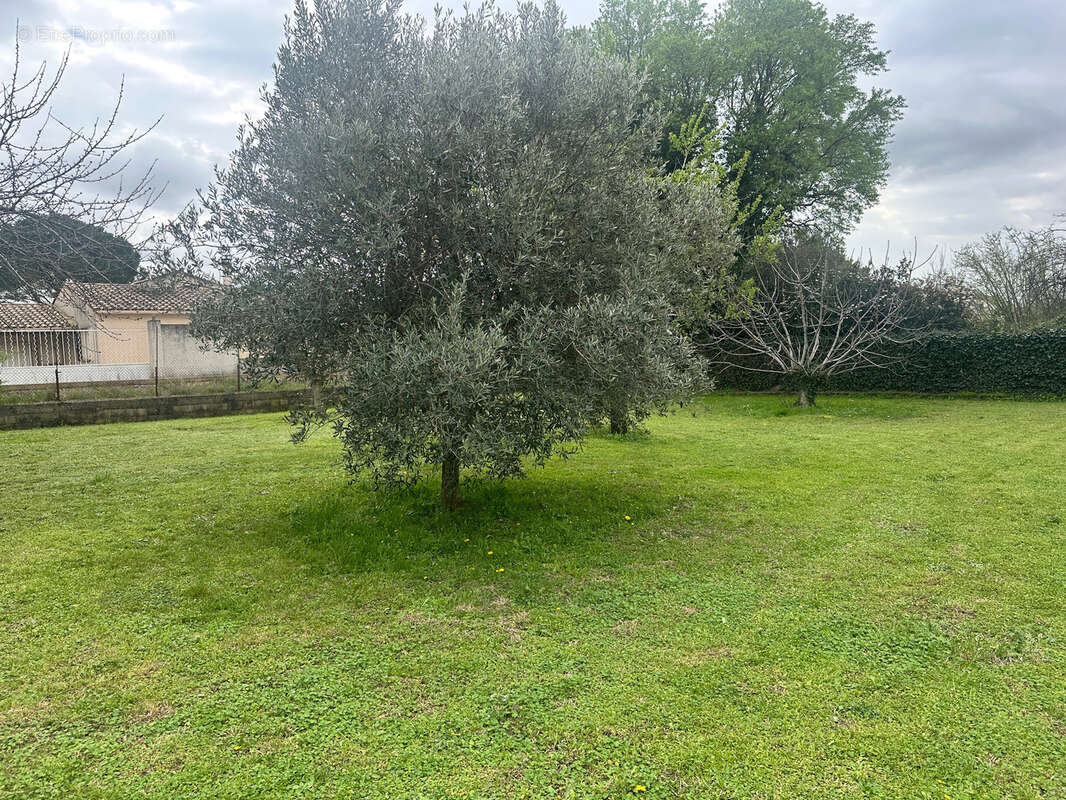 Terrain à BEAUVOISIN