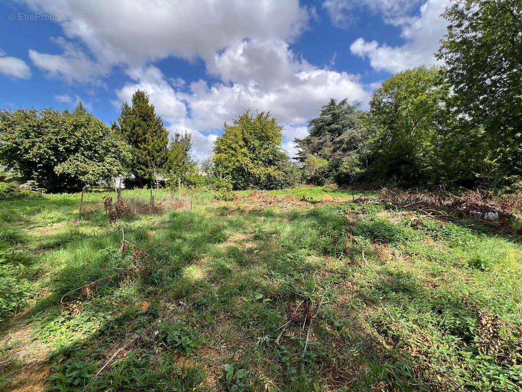 Terrain à FEUQUIERES-EN-VIMEU