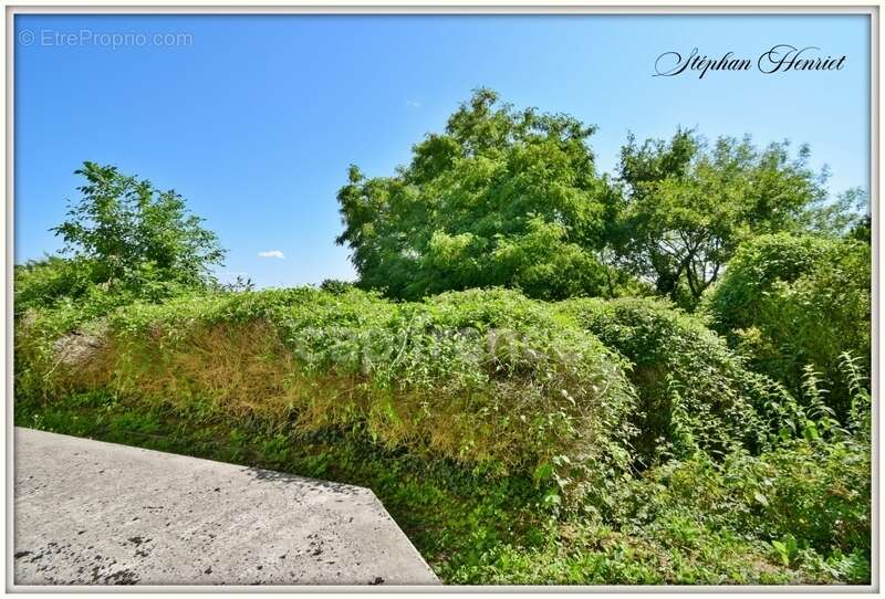Maison à vendre 10 pièces VOUZIERS (08) - photo 6