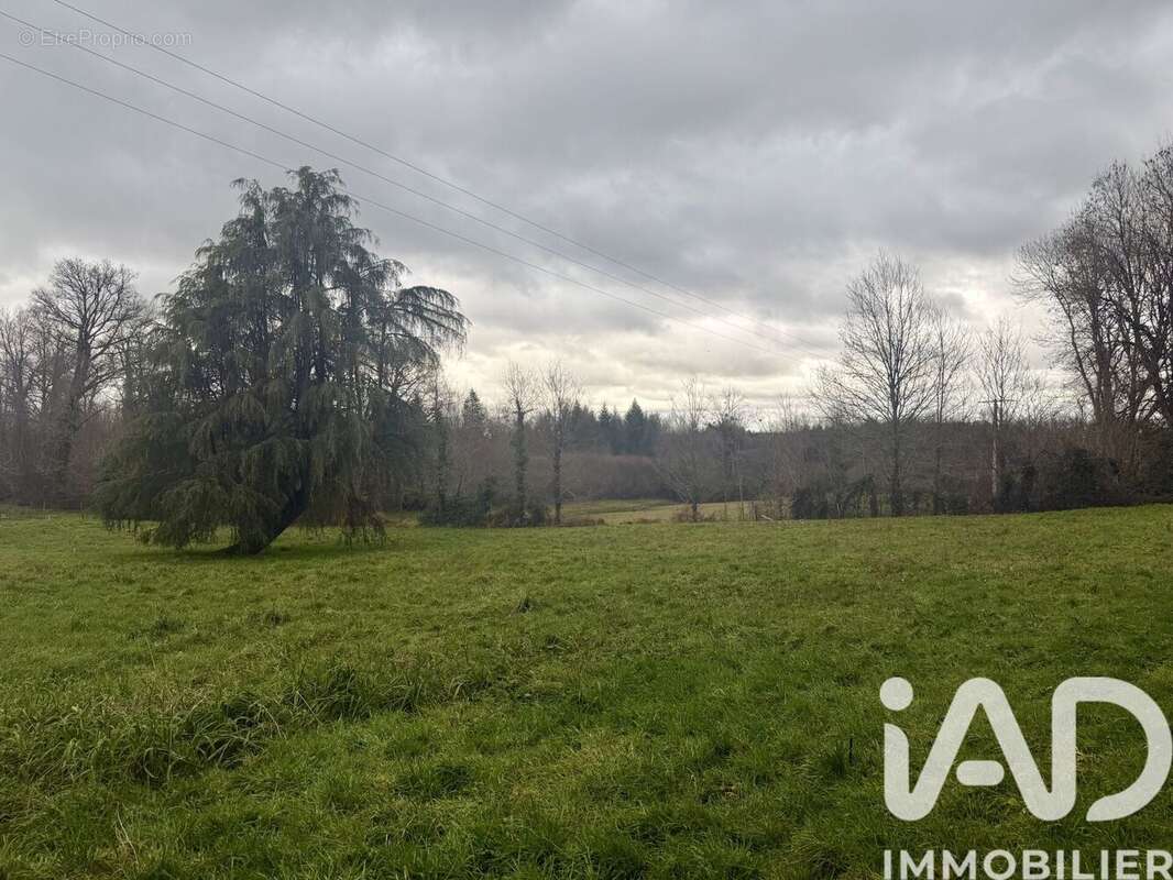 Maison 203 m² à Le Lindois  - photo 4