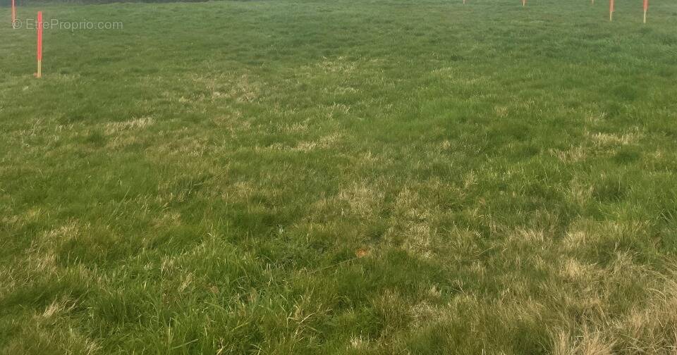 Terrain à LOUGE-SUR-MAIRE