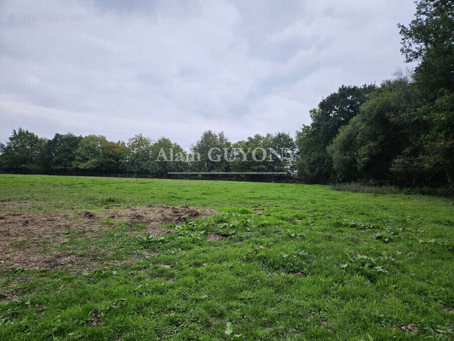 Maison à PONT-L&#039;EVEQUE