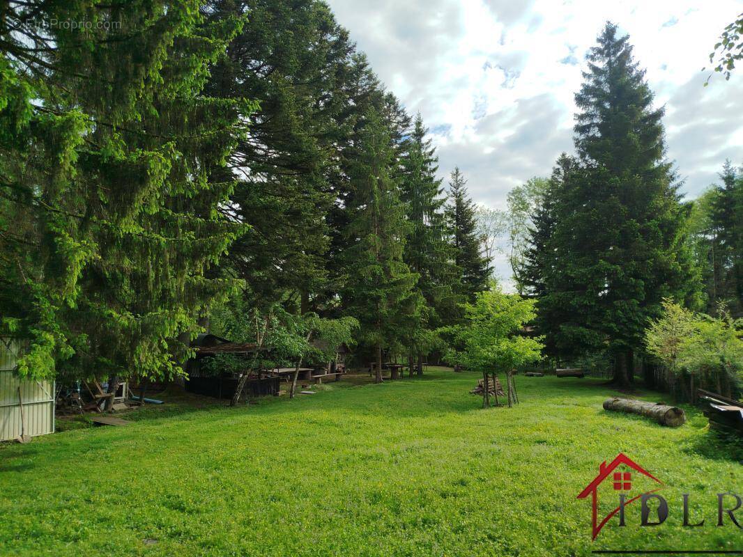 Terrain à CHAMPSEVRAINE