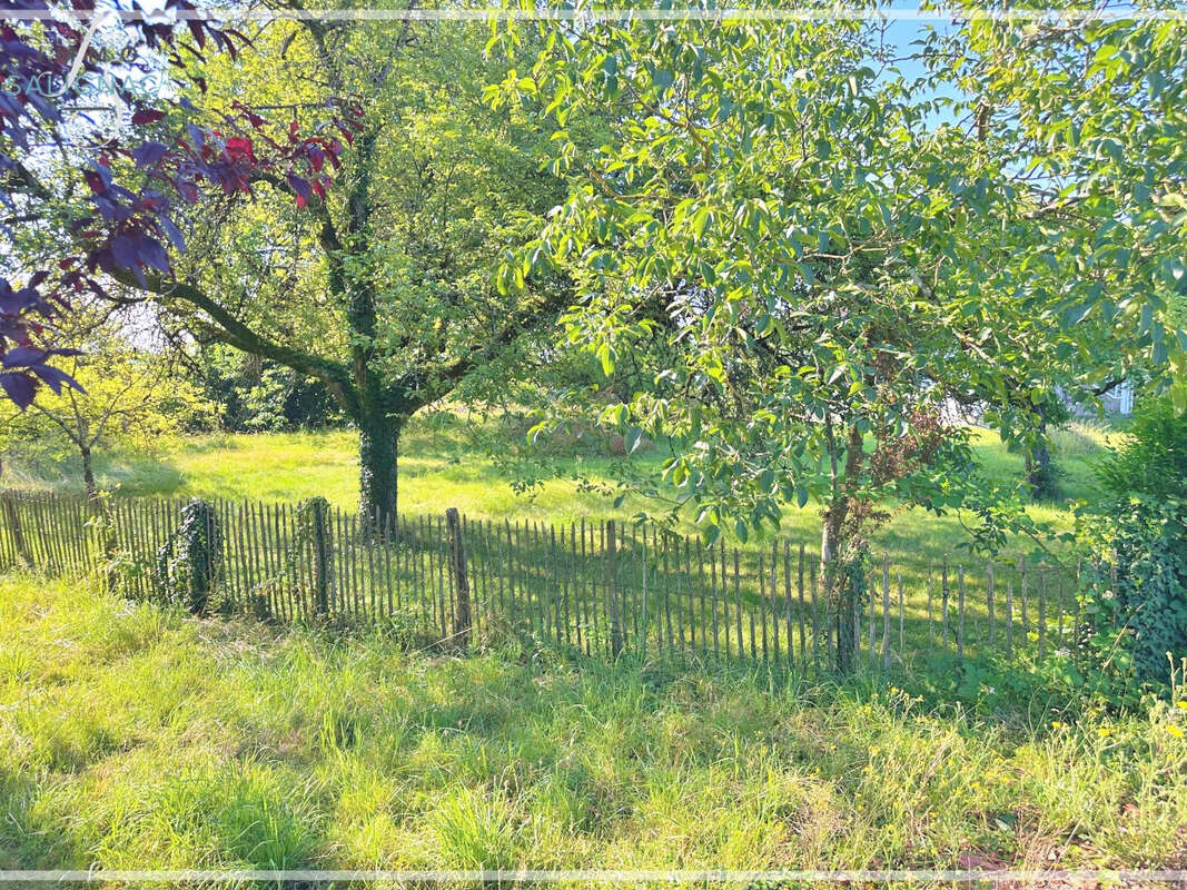 Terrain à SAINT-DENIS-LES-BOURG