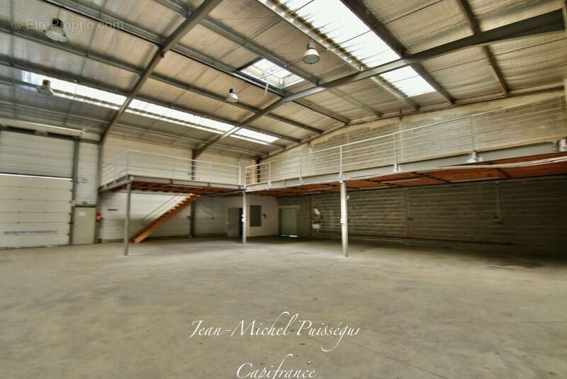 Commerce à SAINT-GAUDENS