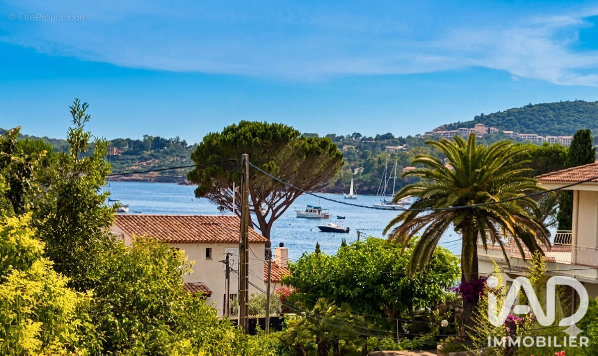 Photo 2 - Maison à LA SEYNE-SUR-MER