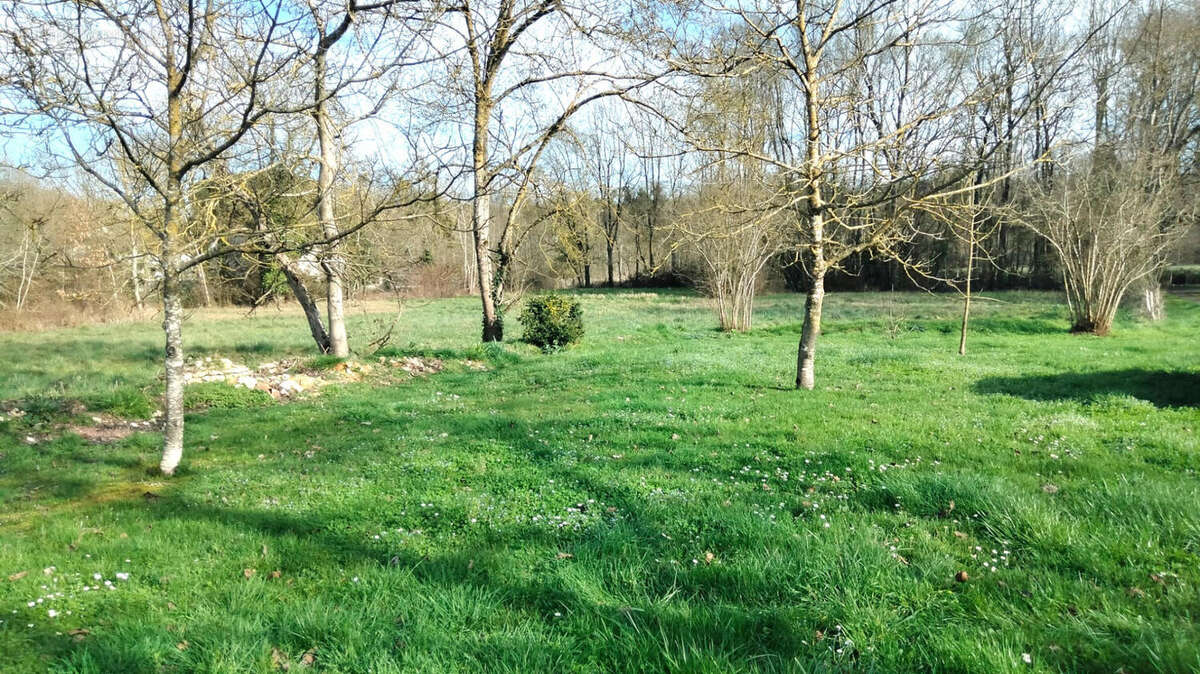 JARDIN - Maison à CHENON