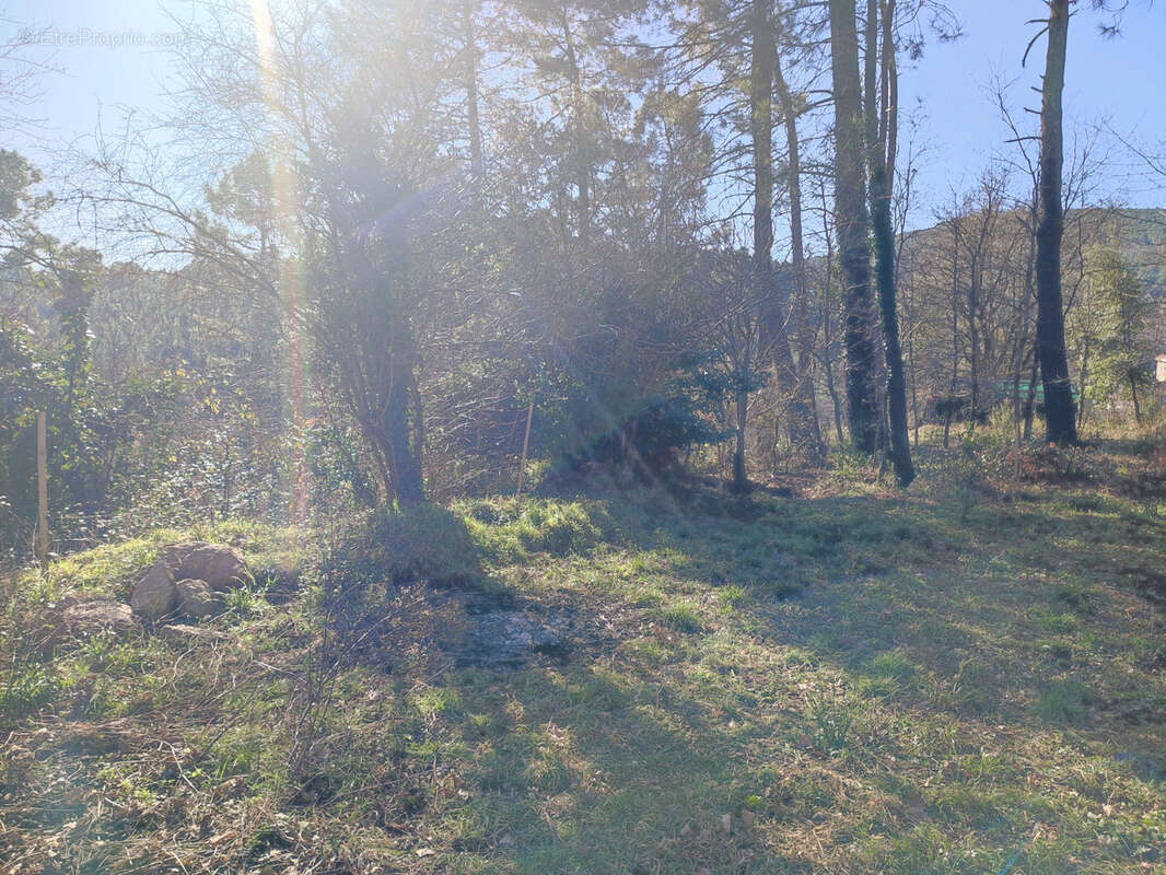 Terrain à LAVAL-PRADEL