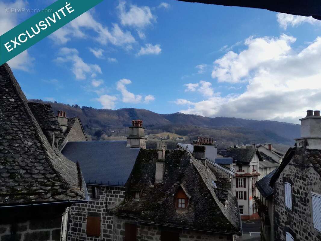Photo 6 - Appartement à VIC-SUR-CERE