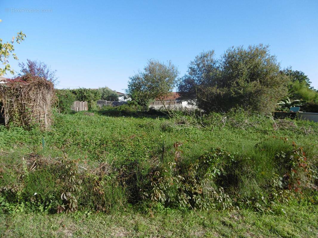 Terrain à LANGON