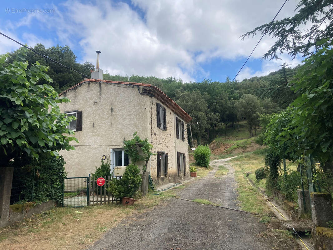 Corbières vertes, maison 4 chambres terrain 5000m2 avec source - photo 8