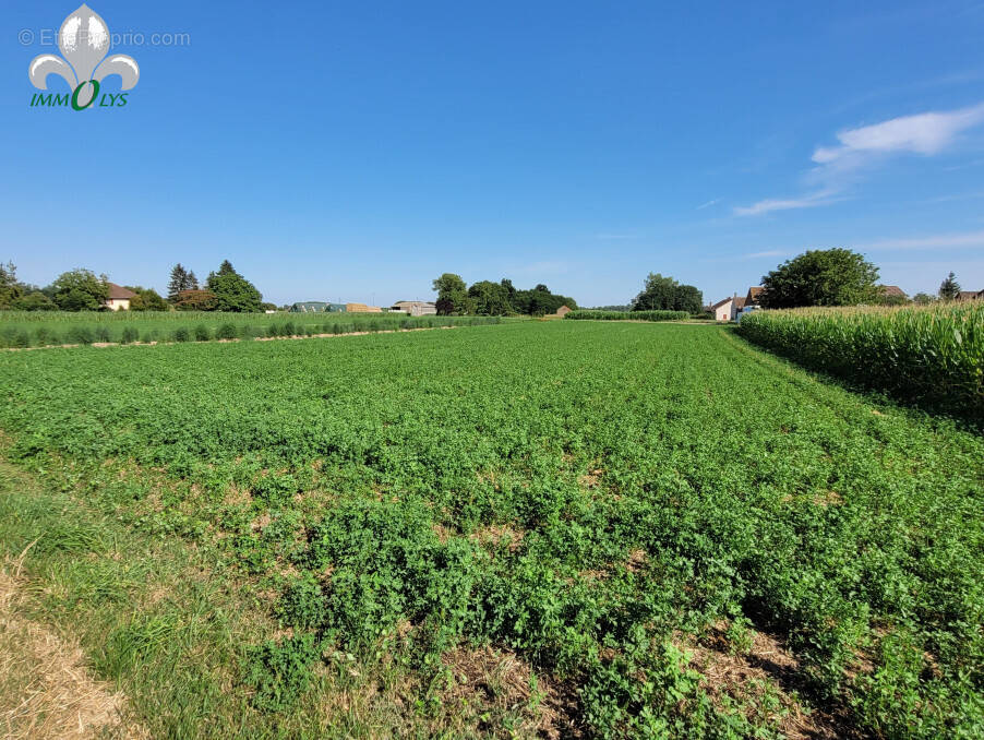 Terrain à CHARNAY-LES-CHALON