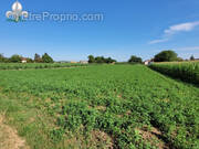 Terrain à CHARNAY-LES-CHALON