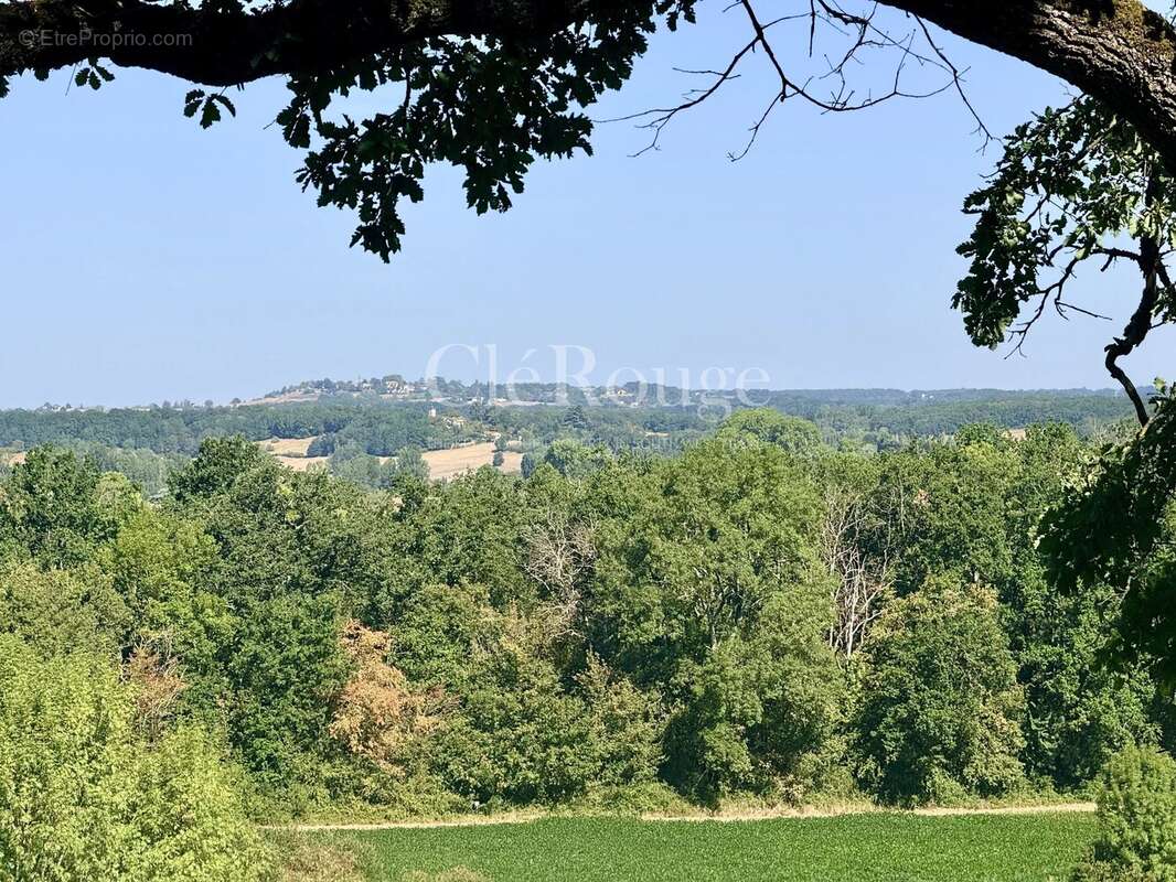 Près d'Eymet - Magnifique château de 5/6 chambres, sur un terrain de 1,6 hectare - photo 29