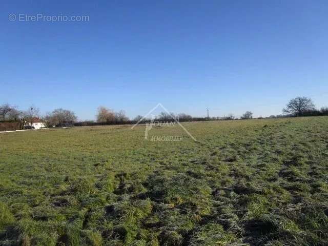 Terrain à VARENNES-SUR-ALLIER