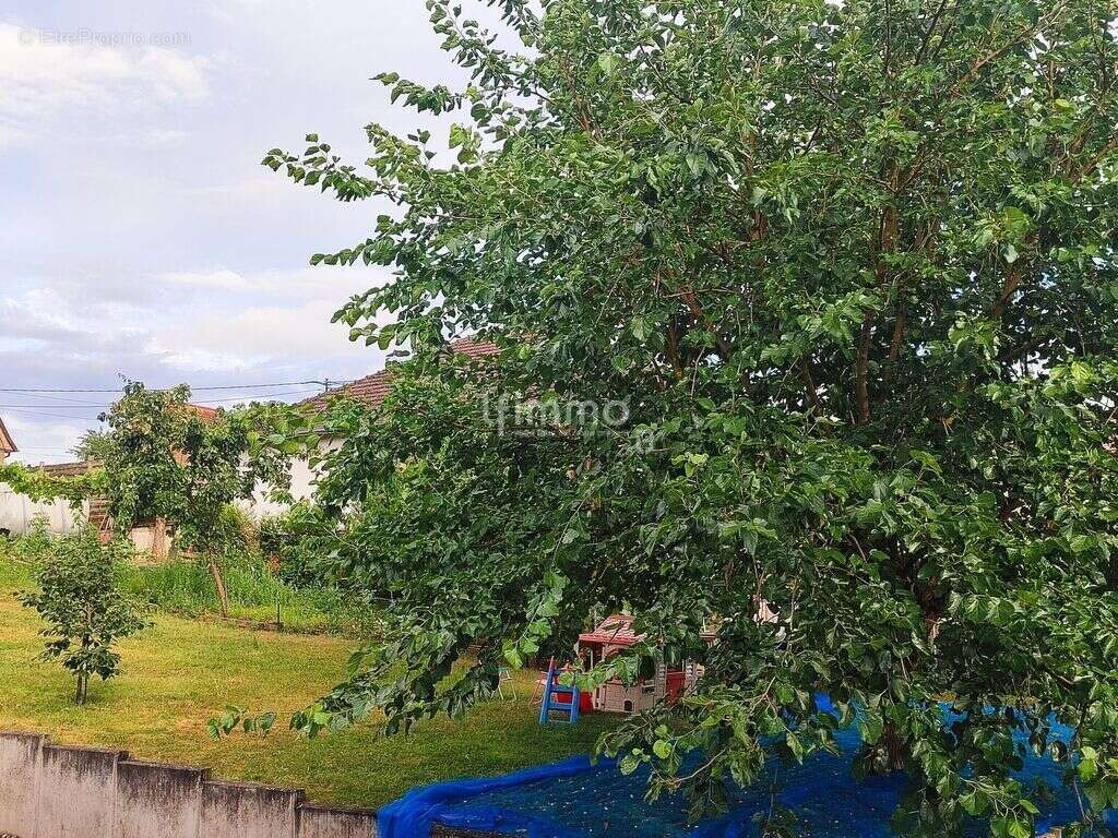 Appartement à GUNDERSHOFFEN