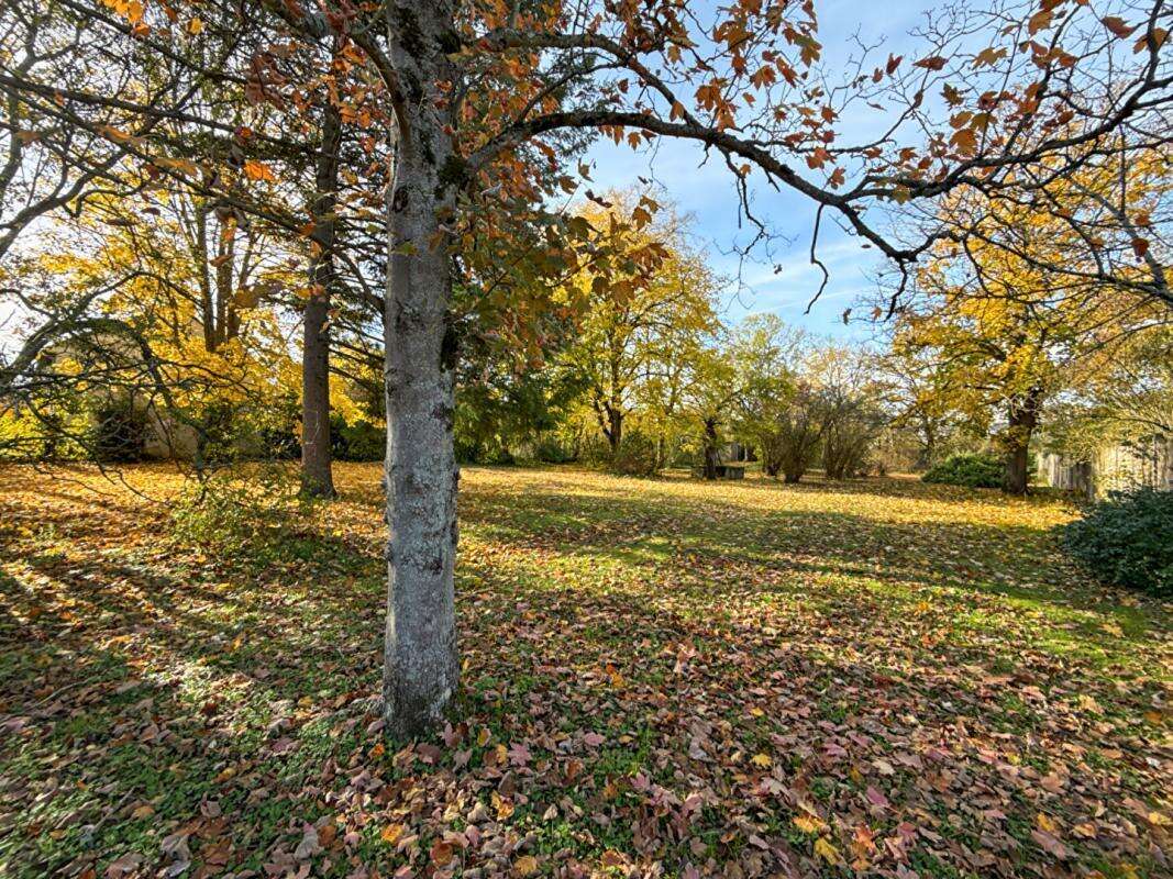 Maison à SAINT-CLEMENT