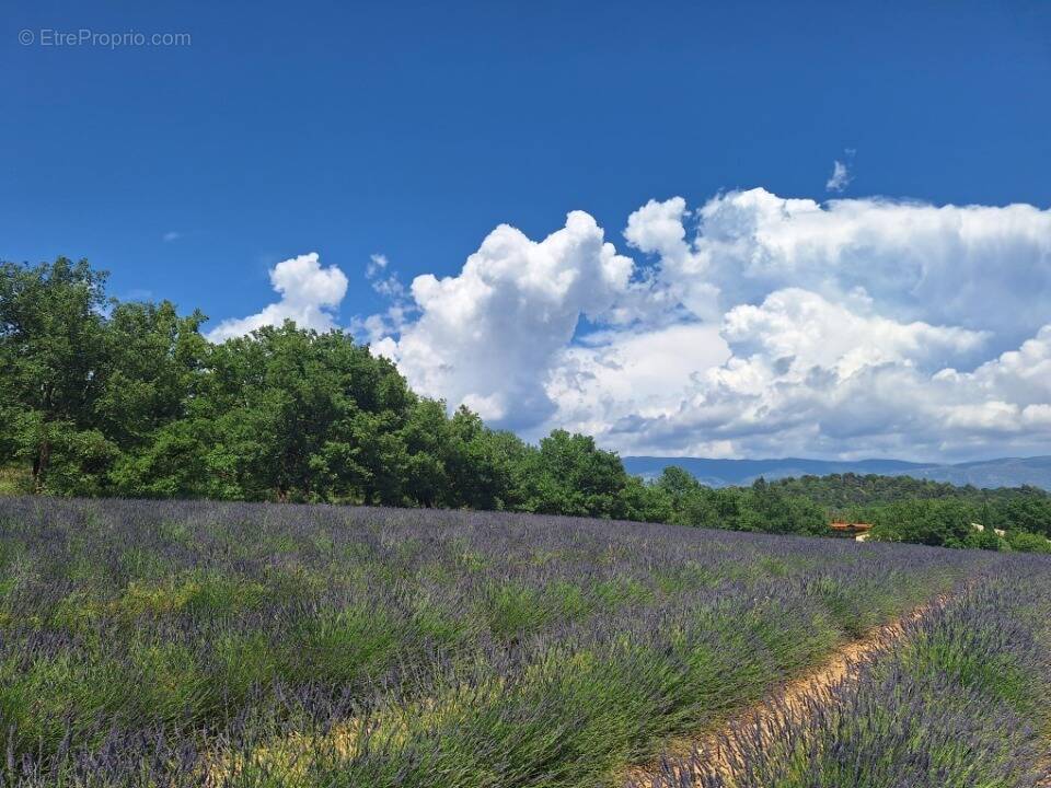 Terrain à ROUMOULES