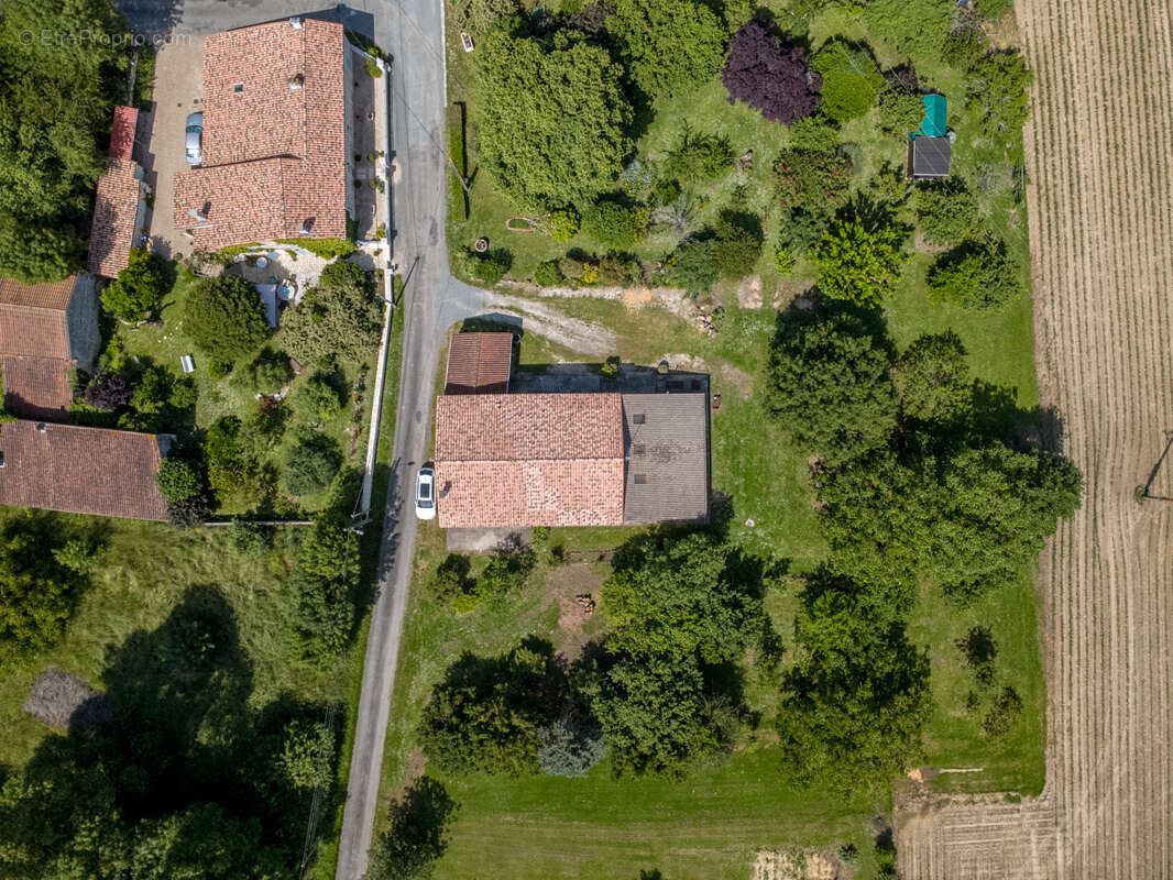 Maison 131 m2, potentiel 250 m2, garage, terrain constructible 3200 m2 - photo 3