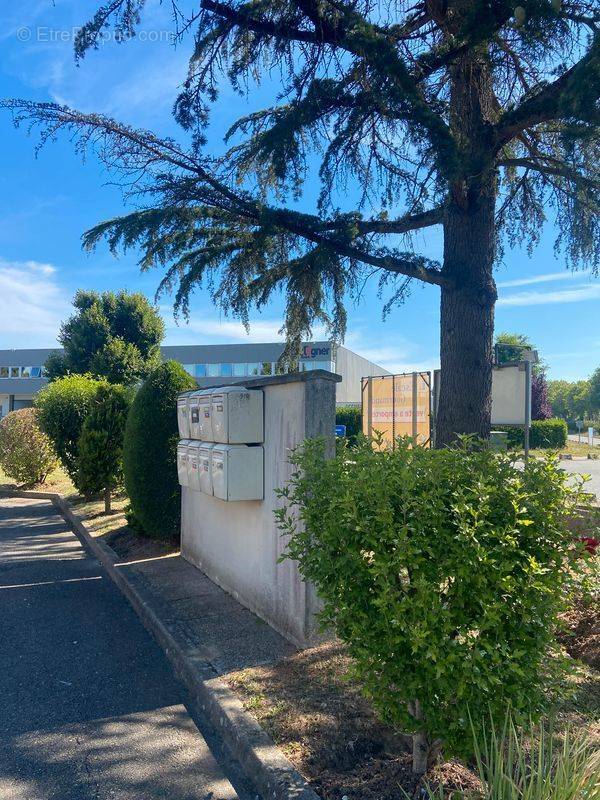 Bureaux rénovés à vendre de 77m² à 145m² - Direct propriétaire - - photo 5