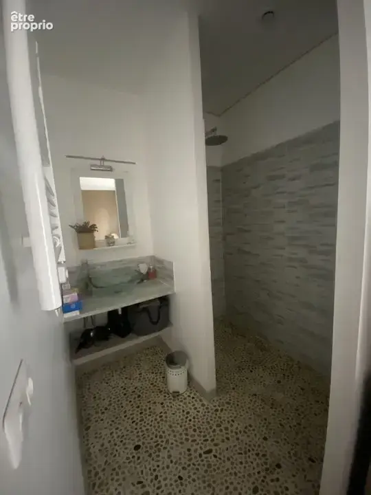 Maison 10 pièces 480 m² à vendre à Saint-Julien-En-Born (40170) - photo 8